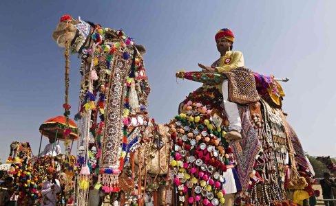 GettyImages-109686750-59d5e29faad52b0010d4ca6f GettyImages-109686750-59d5e29faad52b0010d4ca6f