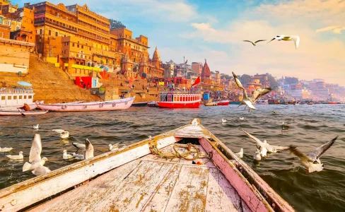 ak519rxt3945rf9sqm3o91njvw9z_download - 2024-12-05T172925.119