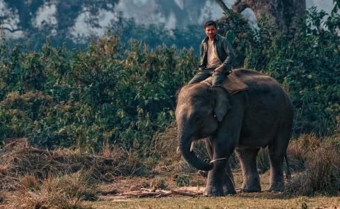 pexels-kent-zhong-94969640-9206628 pexels-kent-zhong-94969640-9206628