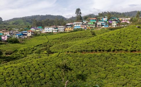 pexels-optically-challenged-3714923 pexels-optically-challenged-3714923